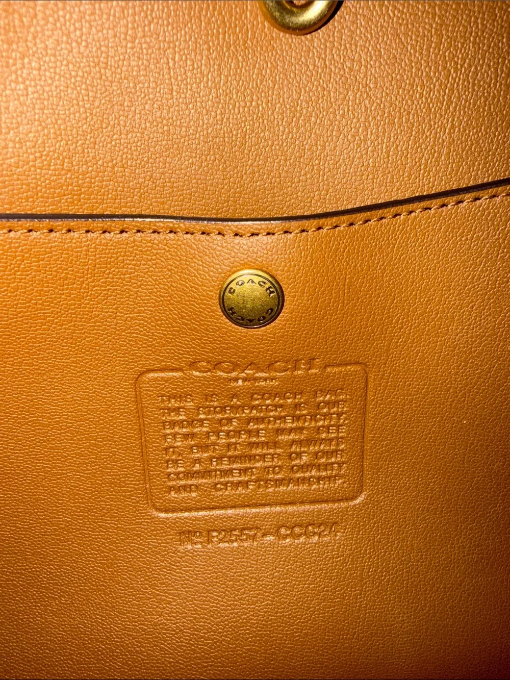 Coach suede hobo